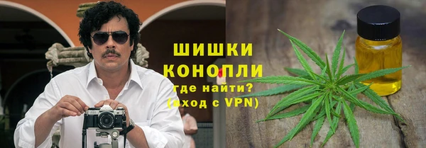 эйфоретик Арсеньев