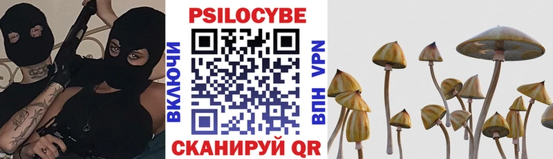 Галлюциногенные грибы Psilocybe  Новокубанск 